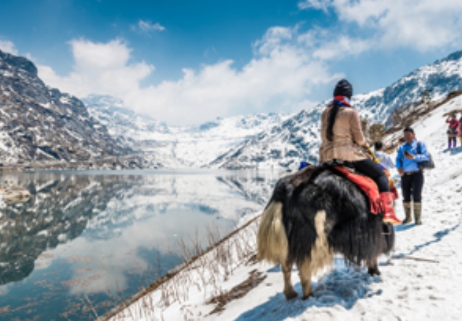 Sikkim Darjeeling Gangtok Tour